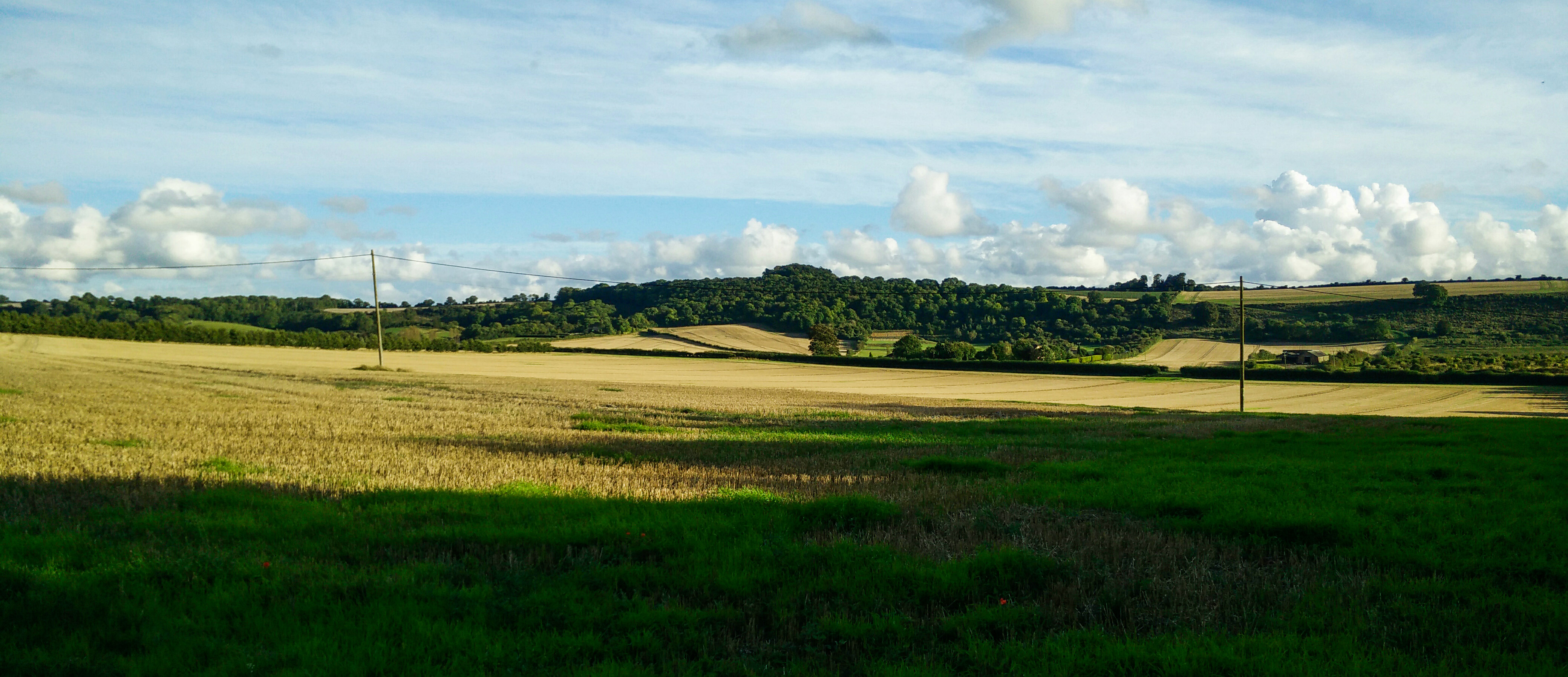 South Downs Way: Winchester to Exton