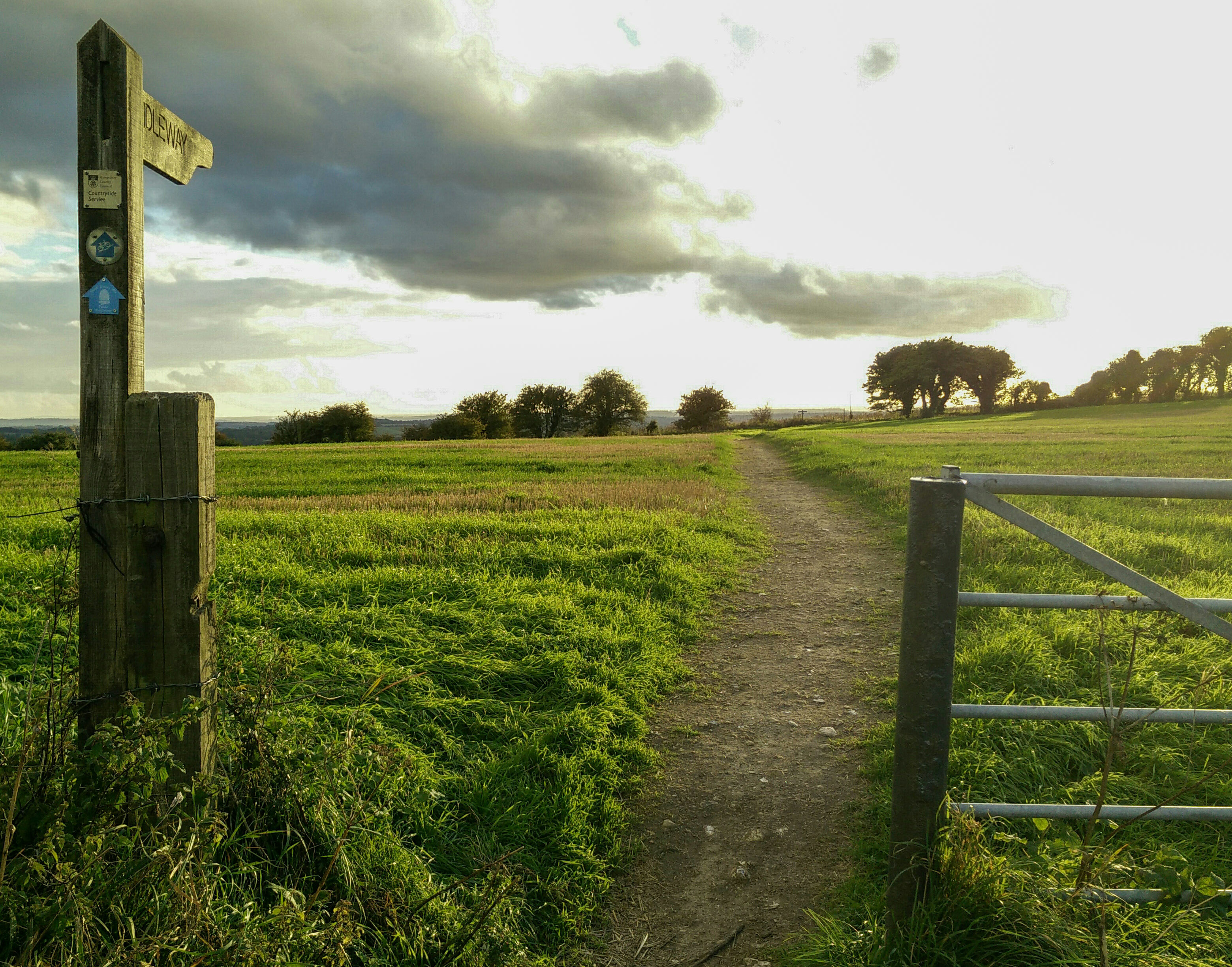 The bridleway just east of Winchester.